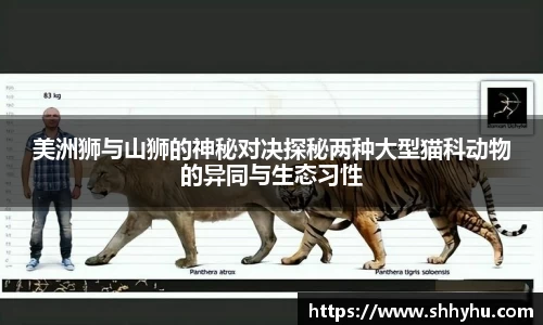 美洲狮与山狮的神秘对决探秘两种大型猫科动物的异同与生态习性